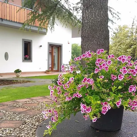Bed and breakfast B&B A Muntagna Nicolosi