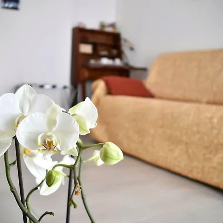 Bed and breakfast B&B A Muntagna Nicolosi